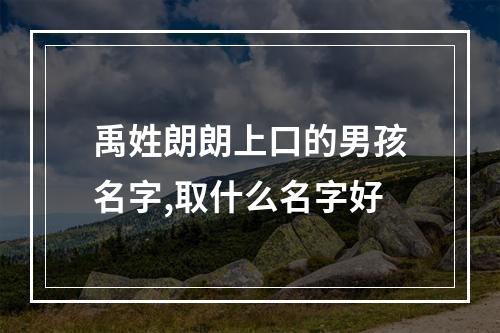 禹姓朗朗上口的男孩名字,取什么名字好