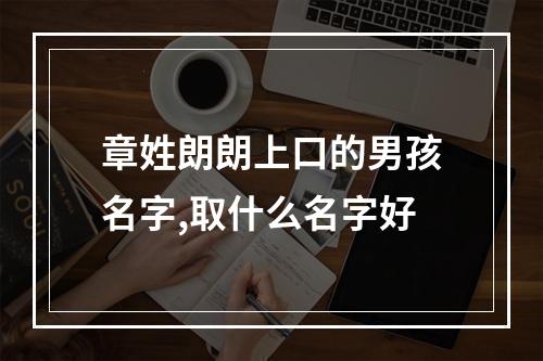 章姓朗朗上口的男孩名字,取什么名字好