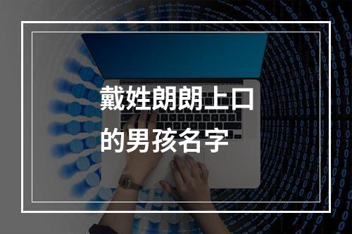 戴姓朗朗上口的男孩名字