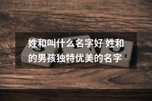 姓和叫什么名字好 姓和的男孩独特优美的名字