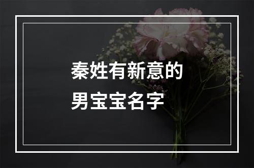 秦姓有新意的男宝宝名字