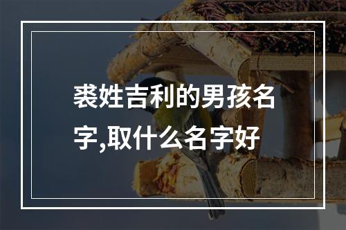 裘姓吉利的男孩名字,取什么名字好