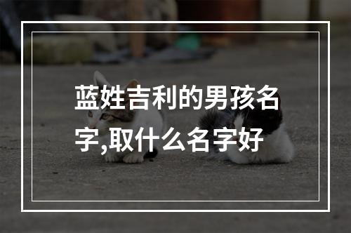 蓝姓吉利的男孩名字,取什么名字好