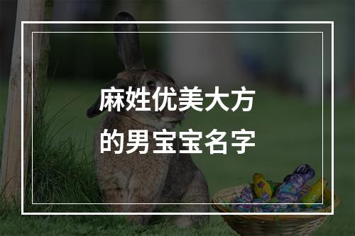 麻姓优美大方的男宝宝名字