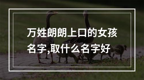 万姓朗朗上口的女孩名字,取什么名字好