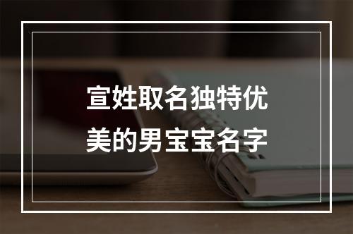 宣姓取名独特优美的男宝宝名字
