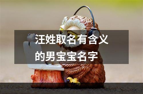 汪姓取名有含义的男宝宝名字