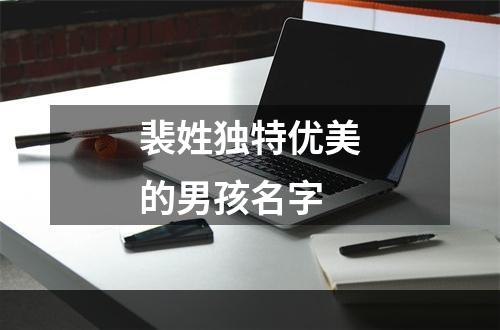 裴姓独特优美的男孩名字