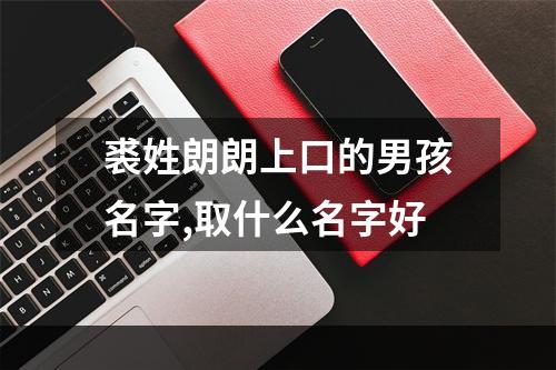 裘姓朗朗上口的男孩名字,取什么名字好