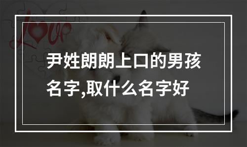 尹姓朗朗上口的男孩名字,取什么名字好