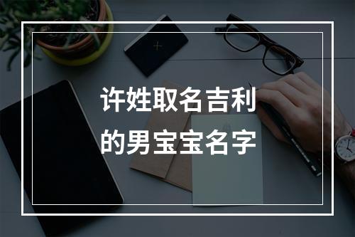 许姓取名吉利的男宝宝名字