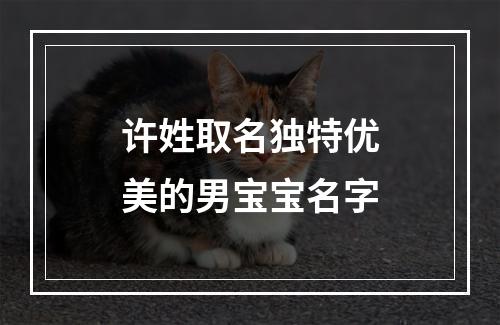 许姓取名独特优美的男宝宝名字