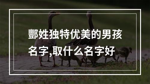 酆姓独特优美的男孩名字,取什么名字好