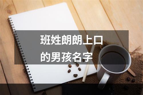 班姓朗朗上口的男孩名字