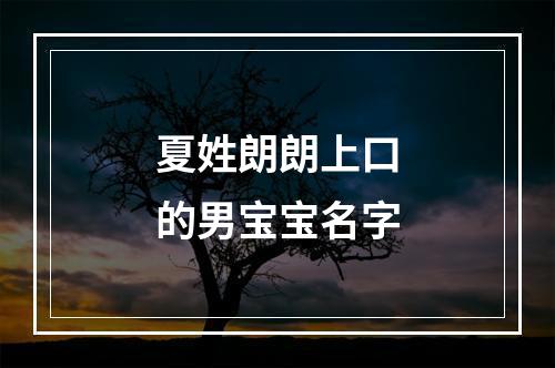 夏姓朗朗上口的男宝宝名字