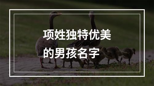 项姓独特优美的男孩名字