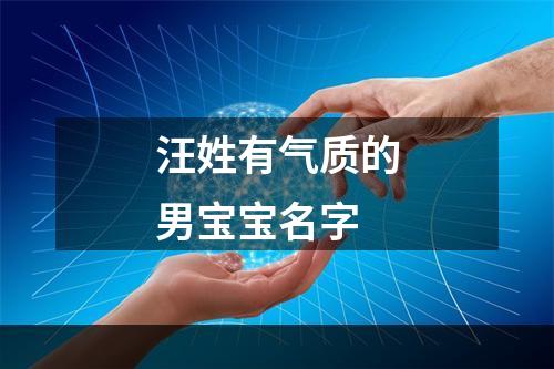 汪姓有气质的男宝宝名字