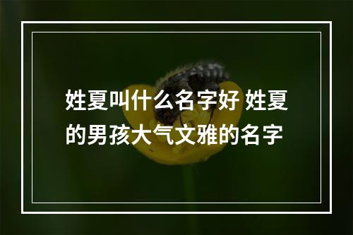 姓夏叫什么名字好 姓夏的男孩大气文雅的名字