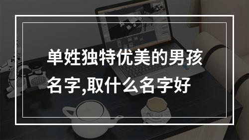 单姓独特优美的男孩名字,取什么名字好