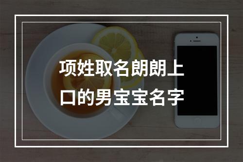 项姓取名朗朗上口的男宝宝名字