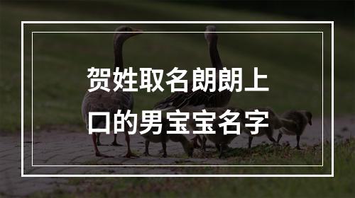 贺姓取名朗朗上口的男宝宝名字