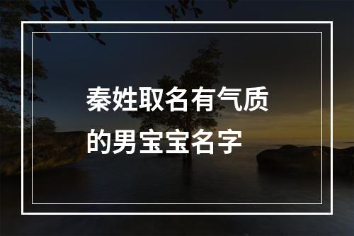 秦姓取名有气质的男宝宝名字