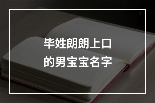毕姓朗朗上口的男宝宝名字