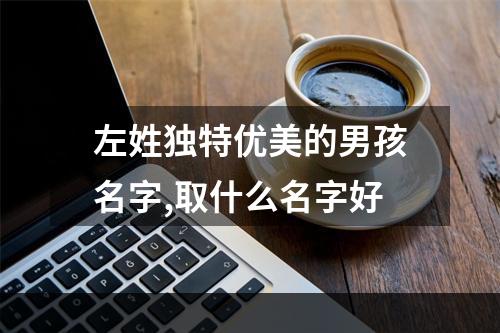左姓独特优美的男孩名字,取什么名字好
