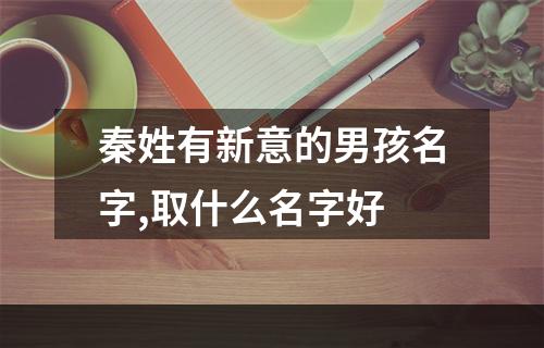 秦姓有新意的男孩名字,取什么名字好