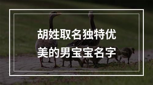 胡姓取名独特优美的男宝宝名字
