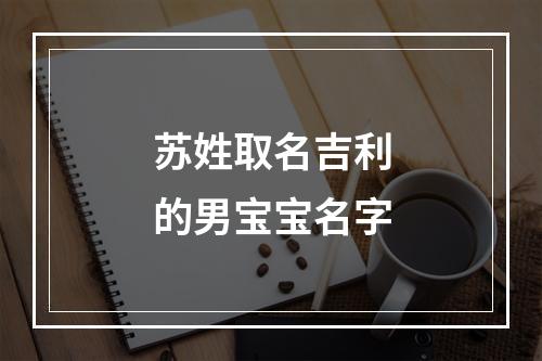 苏姓取名吉利的男宝宝名字