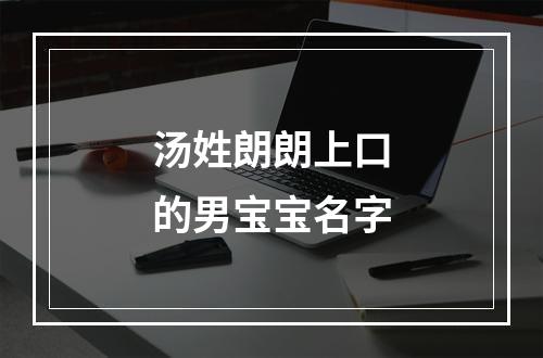 汤姓朗朗上口的男宝宝名字