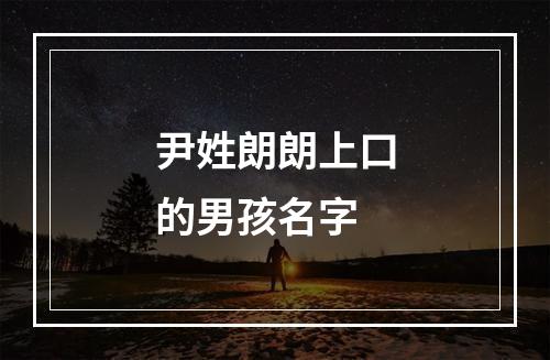 尹姓朗朗上口的男孩名字