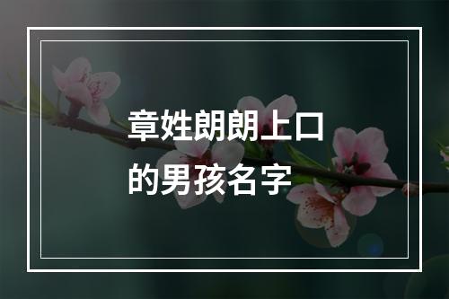 章姓朗朗上口的男孩名字