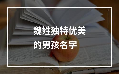魏姓独特优美的男孩名字