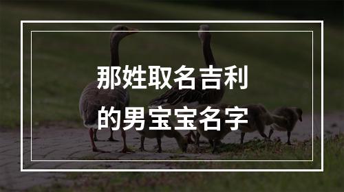 那姓取名吉利的男宝宝名字