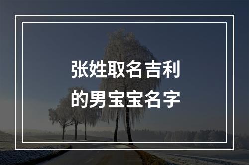 张姓取名吉利的男宝宝名字
