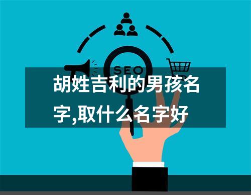 胡姓吉利的男孩名字,取什么名字好