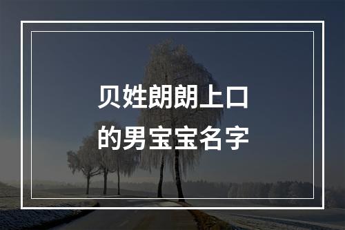 贝姓朗朗上口的男宝宝名字