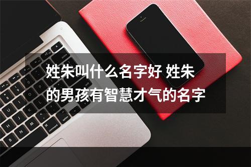 姓朱叫什么名字好 姓朱的男孩有智慧才气的名字