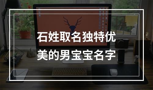 石姓取名独特优美的男宝宝名字