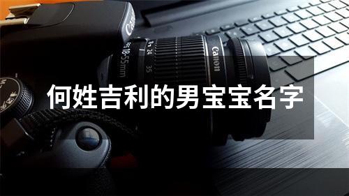 何姓吉利的男宝宝名字