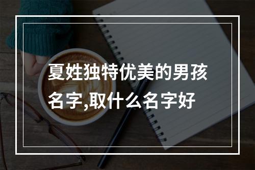 夏姓独特优美的男孩名字,取什么名字好