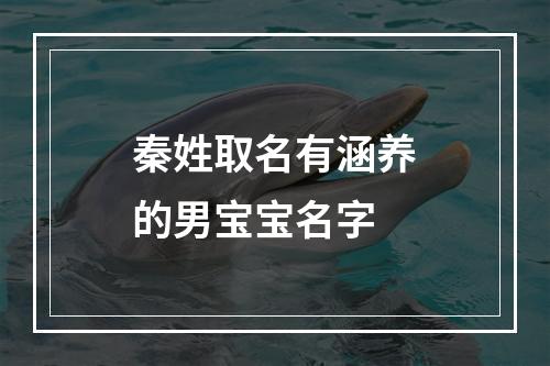 秦姓取名有涵养的男宝宝名字