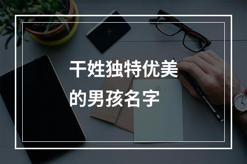 干姓独特优美的男孩名字