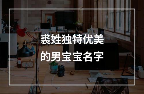 裘姓独特优美的男宝宝名字