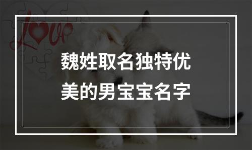 魏姓取名独特优美的男宝宝名字