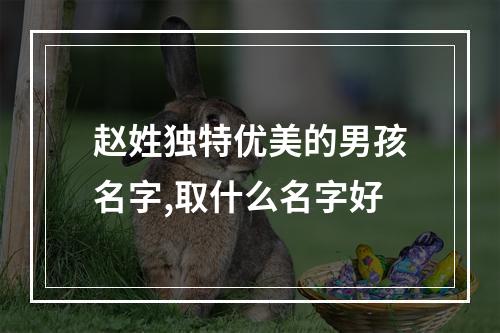 赵姓独特优美的男孩名字,取什么名字好