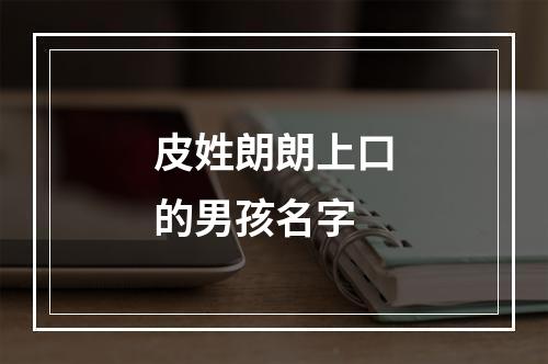 皮姓朗朗上口的男孩名字