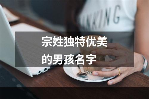 宗姓独特优美的男孩名字
